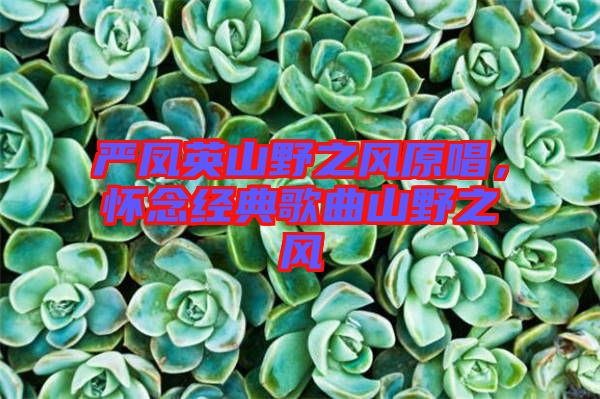 嚴(yán)鳳英山野之風(fēng)原唱，懷念經(jīng)典歌曲山野之風(fēng)