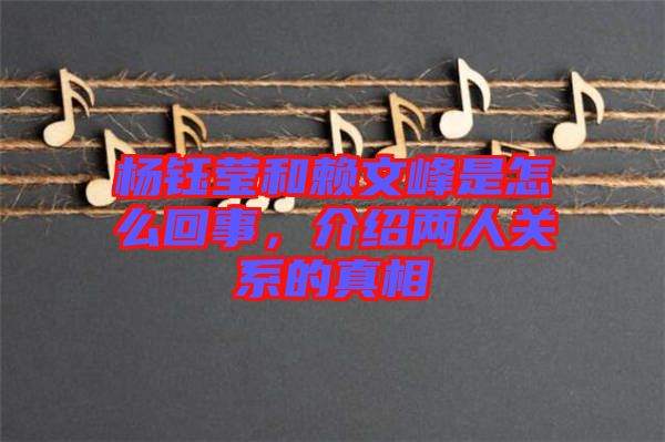 楊鈺瑩和賴文峰是怎么回事，介紹兩人關(guān)系的真相