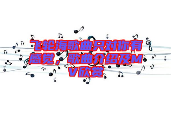飛輪海歌曲只對你有感覺，歌曲介紹及MV欣賞