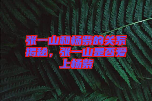 張一山和楊紫的關(guān)系揭秘，張一山是否愛上楊紫
