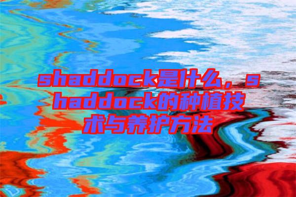 shaddock是什么，shaddock的種植技術(shù)與養(yǎng)護(hù)方法
