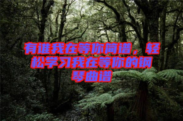 有誰(shuí)我在等你簡(jiǎn)譜，輕松學(xué)習(xí)我在等你的鋼琴曲譜