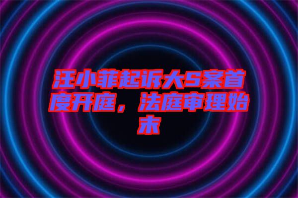 汪小菲起訴大S案首度開庭，法庭審理始末