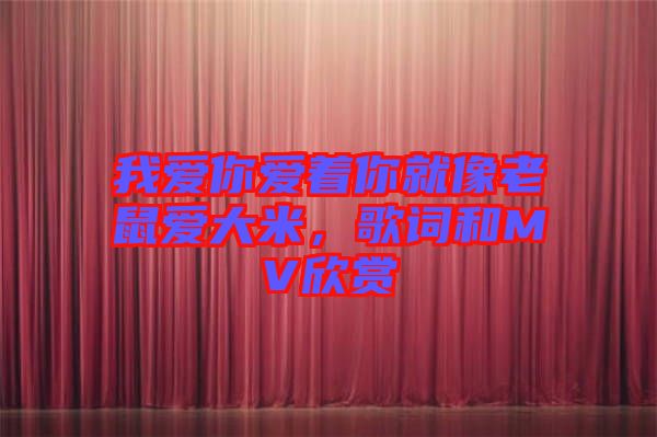 我愛你愛著你就像老鼠愛大米，歌詞和MV欣賞