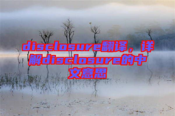 disclosure翻譯，詳解disclosure的中文意思