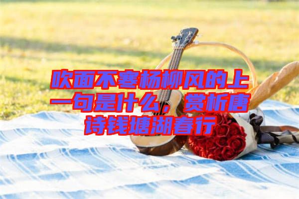 吹面不寒楊柳風(fēng)的上一句是什么，賞析唐詩(shī)錢塘湖春行