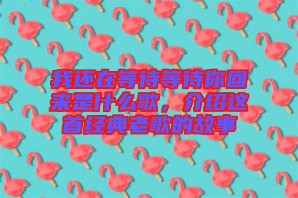 我還在等待等待你回來是什么歌，介紹這首經(jīng)典老歌的故事