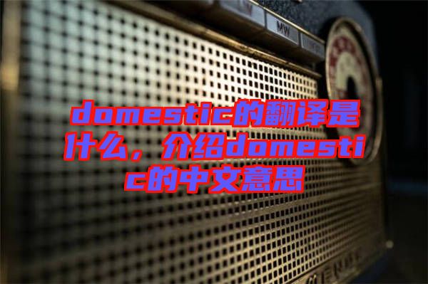 domestic的翻譯是什么，介紹domestic的中文意思