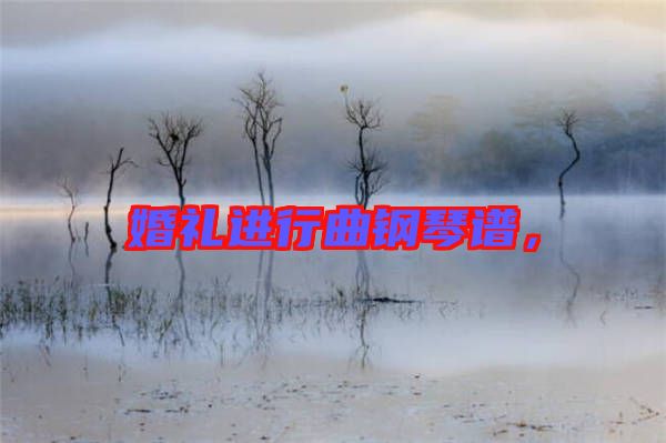 婚禮進(jìn)行曲鋼琴譜，