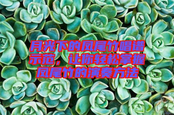 月光下的鳳尾竹唱譜示范，讓你輕松掌握鳳尾竹的演奏方法