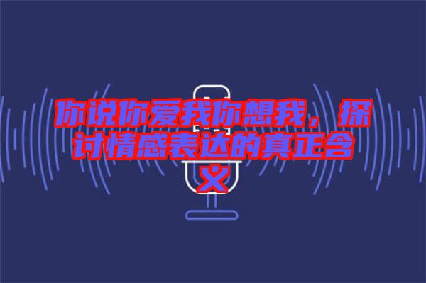 你說你愛我你想我，探討情感表達的真正含義