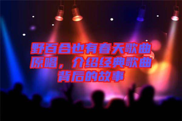 野百合也有春天歌曲原唱，介紹經(jīng)典歌曲背后的故事