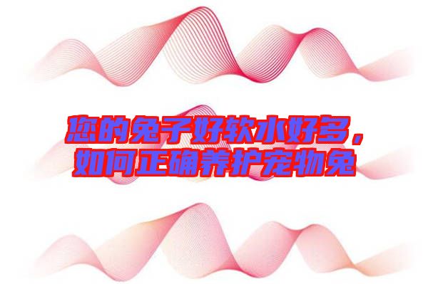 您的兔子好軟水好多，如何正確養(yǎng)護(hù)寵物兔