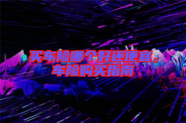 買車險哪個好還便宜，車險購買指南
