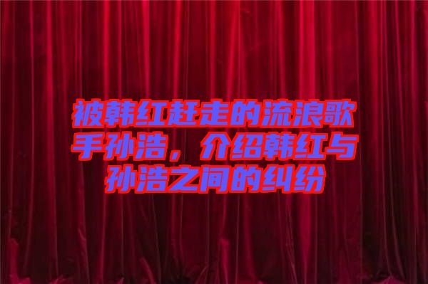 被韓紅趕走的流浪歌手孫浩，介紹韓紅與孫浩之間的糾紛
