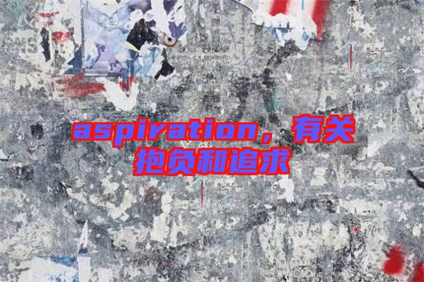 aspiration，有關(guān)抱負和追求
