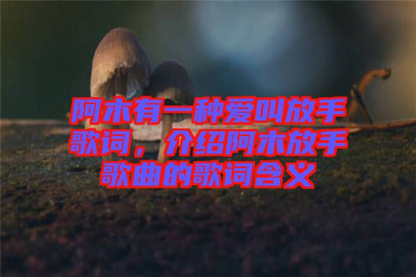 阿木有一種愛叫放手歌詞，介紹阿木放手歌曲的歌詞含義