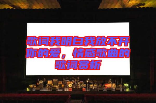 歌詞我明白我放不開你的愛，情感歌曲的歌詞賞析