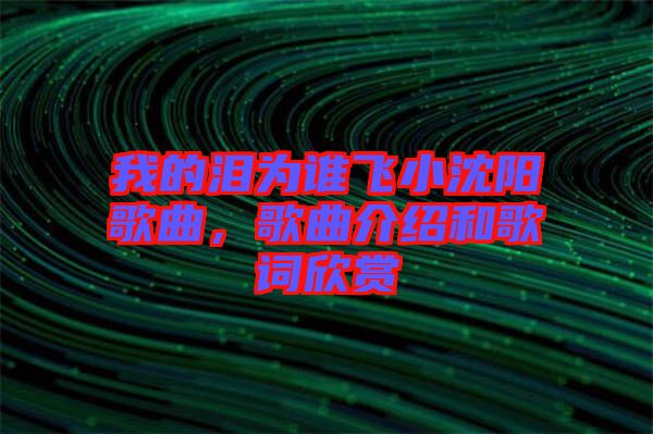 我的淚為誰飛小沈陽歌曲，歌曲介紹和歌詞欣賞