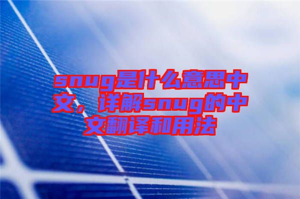 snug是什么意思中文，詳解snug的中文翻譯和用法