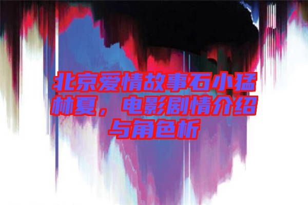 北京愛情故事石小猛林夏，電影劇情介紹與角色析
