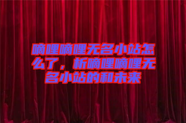嘀哩嘀哩無名小站怎么了，析嘀哩嘀哩無名小站的和未來