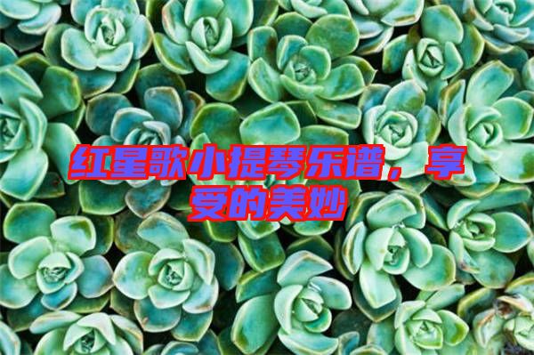 紅星歌小提琴樂(lè)譜，享受的美妙