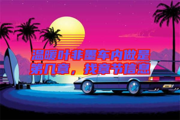 溫暖葉非墨車內(nèi)做是第幾章，找章節(jié)信息