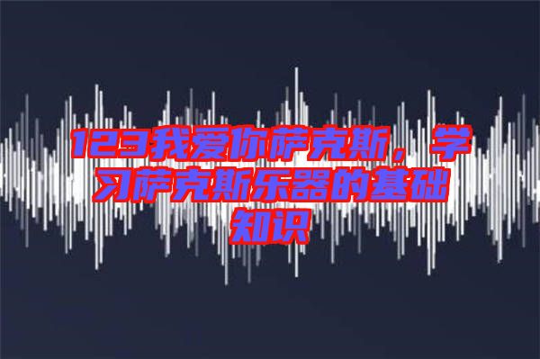 123我愛你薩克斯，學(xué)習(xí)薩克斯樂器的基礎(chǔ)知識(shí)