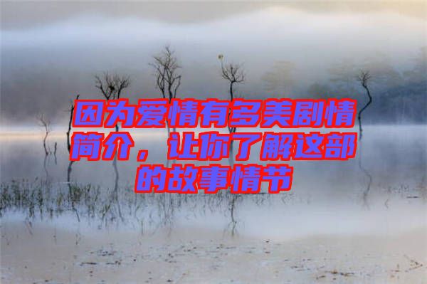 因為愛情有多美劇情簡介，讓你了解這部的故事情節(jié)