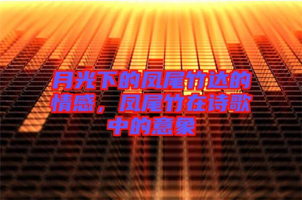 月光下的鳳尾竹達(dá)的情感，鳳尾竹在詩(shī)歌中的意象