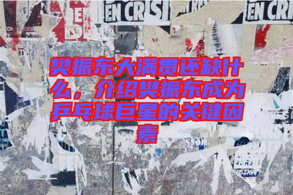 樊振東大滿貫還缺什么，介紹樊振東成為乒乓球巨星的關(guān)鍵因素
