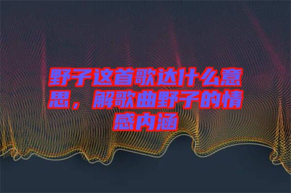 野子這首歌達什么意思，解歌曲野子的情感內涵