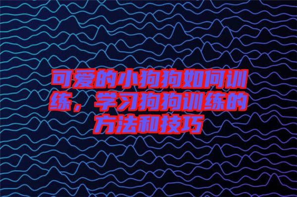可愛(ài)的小狗狗如何訓(xùn)練，學(xué)習(xí)狗狗訓(xùn)練的方法和技巧