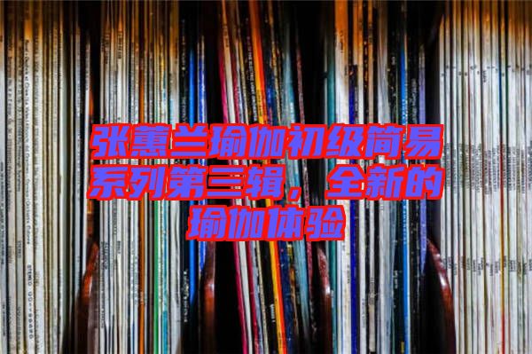 張蕙蘭瑜伽初級(jí)簡(jiǎn)易系列第三輯，全新的瑜伽體驗(yàn)