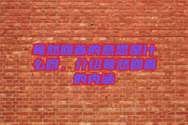 驀然回首的意思是什么呀，介紹驀然回首的內(nèi)涵