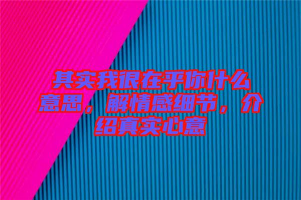 其實(shí)我很在乎你什么意思，解情感細(xì)節(jié)，介紹真實(shí)心意
