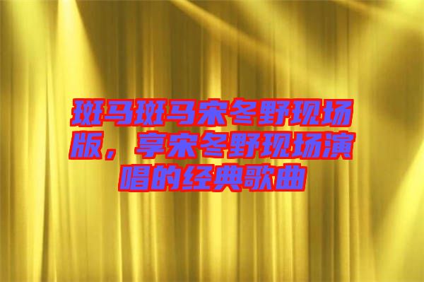 斑馬斑馬宋冬野現(xiàn)場(chǎng)版，享宋冬野現(xiàn)場(chǎng)演唱的經(jīng)典歌曲