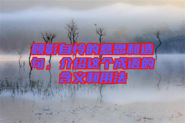 顧影自憐的意思和造句，介紹這個(gè)成語的含義和用法