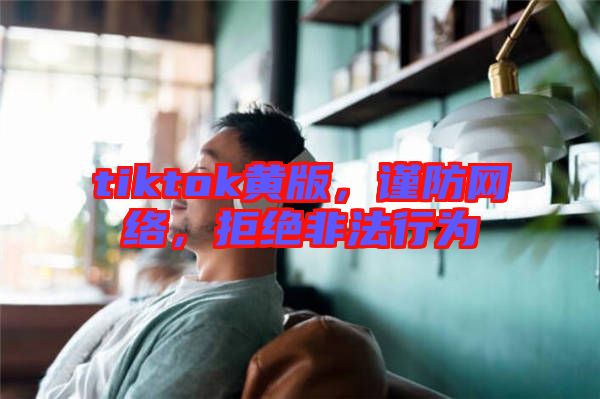 tiktok黃版，謹(jǐn)防網(wǎng)絡(luò)，拒絕非法行為