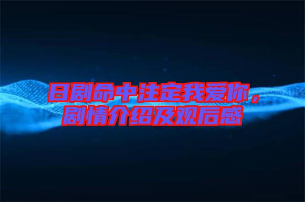 日劇命中注定我愛你，劇情介紹及觀后感