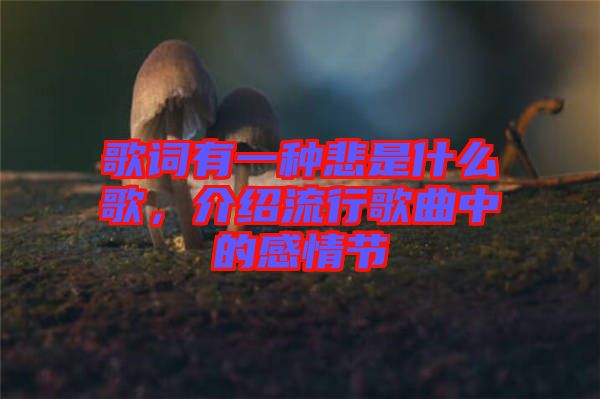 歌詞有一種悲是什么歌，介紹流行歌曲中的感情節(jié)