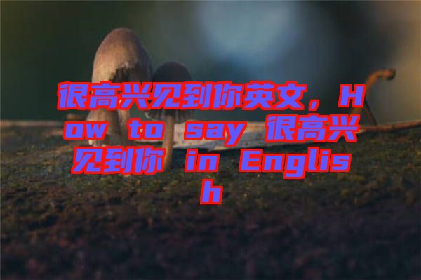 很高興見到你英文，How to say 很高興見到你 in English