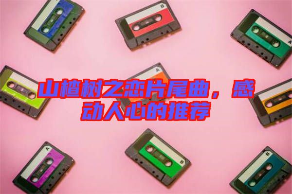 山楂樹(shù)之戀片尾曲，感動(dòng)人心的推薦