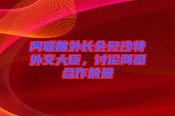 阿聯(lián)酋外長會見沙特外交大臣，討論兩國合作前景