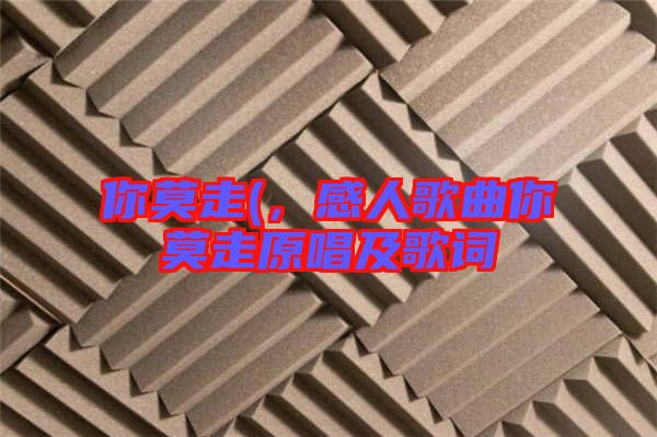 你莫走(，感人歌曲你莫走原唱及歌詞