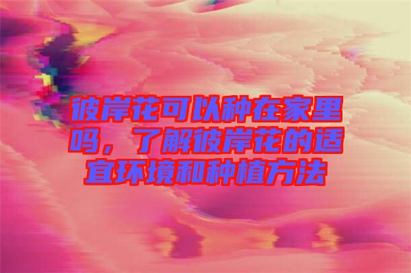 彼岸花可以種在家里嗎，了解彼岸花的適宜環(huán)境和種植方法