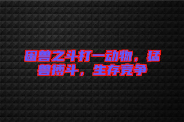 困獸之斗打一動(dòng)物，猛獸搏斗，生存競(jìng)爭(zhēng)