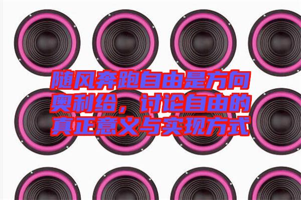 隨風(fēng)奔跑自由是方向奧利給，討論自由的真正意義與實(shí)現(xiàn)方式