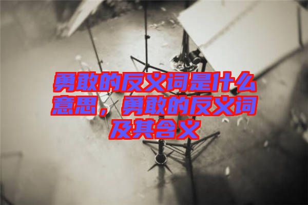 勇敢的反義詞是什么意思，勇敢的反義詞及其含義
